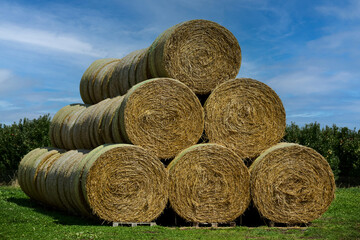 Heuballen gestapelt in einer Reihe bei Sonnenschein und leicht bewölktem Himmel