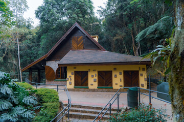 shots of Bosque Alemão in Curitiba showcasing forest trails and cultural landmarks