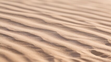 Obraz premium Close-up of Sand Dunes with Soft Ripples