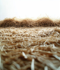 Disorganized pile of loose hay scattered on the ground in the distance, with hay-covered floor in the foreground. Rustic rural atmosphere, photorealistic, isolated on white background.