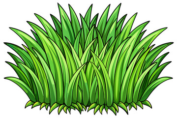 green grass on white background