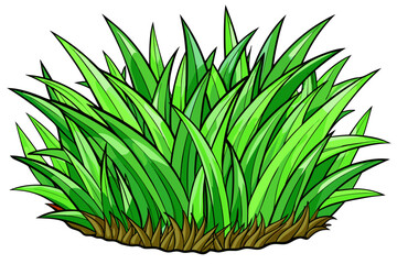 green grass on white background