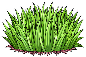 green grass on white background
