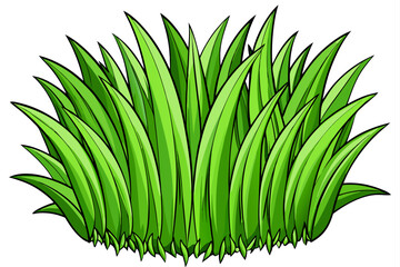 green grass on white background
