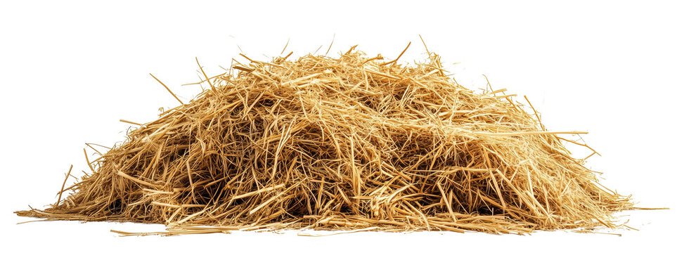 Small pile of scattered hay isolated on a transparent background. Natural dry straw texture perfect for agricultural or rustic design projects.