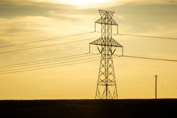 power lines at sunset in the field