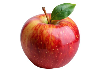 Mango isolated on transparent png