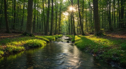 Obraz premium Sunlit Forest Stream: Serene Nature Scene with Lush Greenery and Sunlight.