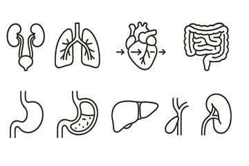 Anatomy medical line icon set. human organs, biology, health symbols outlined designs