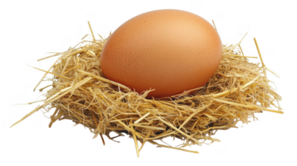 Single brown egg resting in a straw nest on a white background