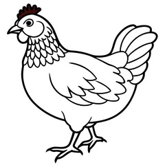 Hen and Chicken, Hen illustration isolated on transparent background, vector illustration of Hen, hen and rooster, vector illustration of a chicken