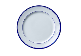 Overhead view of a round, white dinner plate with two thin blue borders