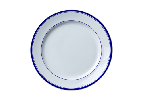 Overhead view of a round, white dinner plate with two thin blue borders