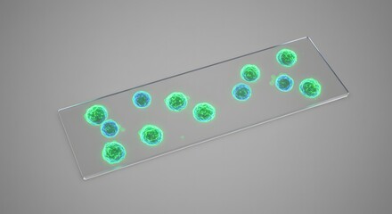 Minimalist Microscope Slide Featuring Illuminated Cells Biology Research for Lab Studies and Scientific Discovery