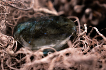 Polished labradorite with blue-green iridescence rests on a dark surface, surrounded by twisted dried vines. The mix of glossy stone and organic textures creates a serene, earthy still life