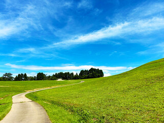青空と丘へと続く道