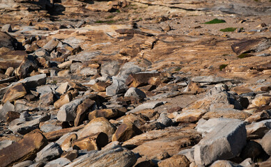 natural background of stone texture detailed close up