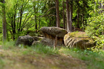 Limestone and sandstone rock formations in the famous Boulders Dwarfs nature reserve in Gorzeszów, summer. Poland, Lower Silesia