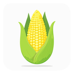 Obraz premium Illustration of a ripe corn on the cob with green husks against a white background.