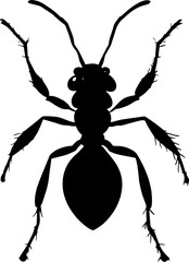 An ant silhouette
