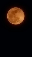 Obraz premium Blood moon