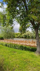 Wooden bridge on bank of navigable river. Well-maintained embankment in city park. Spring or summer landscape. Place to walk and relax after work. Cozy atmosphere of nature park. Vertical photo