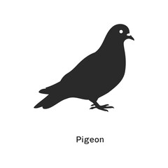 Obraz premium Silhouette of a standing pigeon on white background