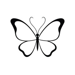 butterfly on white background