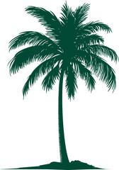 Silhouette of a palm tree with detailed fronds. Vector illustration