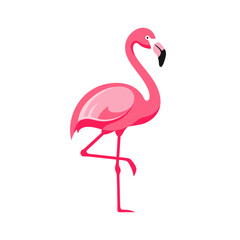 Graceful pink flamingo vector art with a blacktipped beak posing elegantly on one leg.
