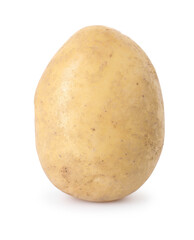 One fresh raw potato isolated on white