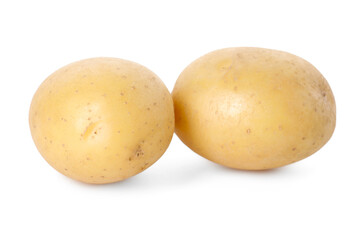 Two fresh raw potatoes isolated on white
