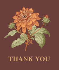 Dahlia fabric blooming realistic isolated flowers. Vintage background. Set thank you wildflowers. Wallpaper baroque. Drawing engraving. Vector illustration © Наталья Лобенко