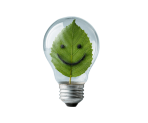 Creative idea symbolizing eco friendly innovation and sustainability