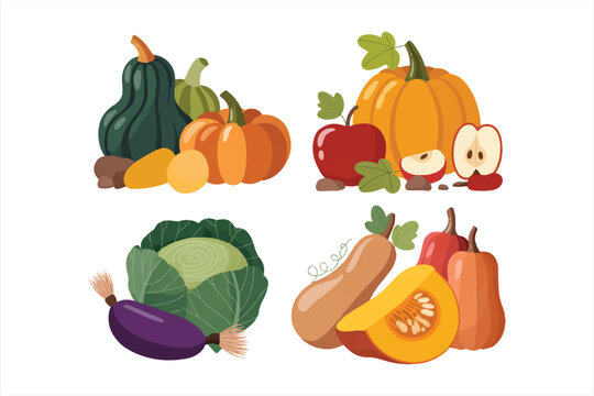 Autumn harvest set. Collections of pumpkin, squash, apple, cabbage and other types of vegetables. Vector illustration. - Powered by Adobe