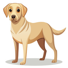 labrador retriever dog vector art illustration