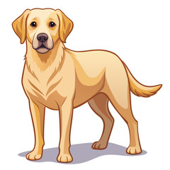 labrador retriever dog vector art illustration