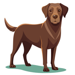labrador retriever dog vector art illustration