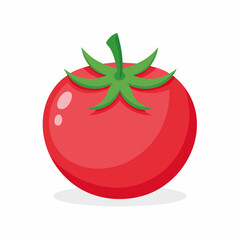 Illustration of a fresh ripe tomato with green stem and leaves on a white background