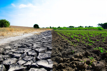 Dead, cracked soil in industrial field during drought vs. moist, healthy soil full of life on a regenerative field during dry season
