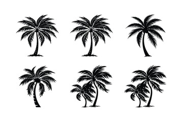 Fototapeta premium Palm Tree Bundle
