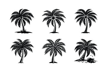 Palm Tree Bundle