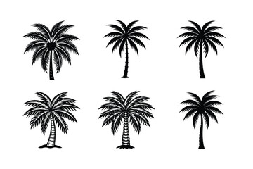 Palm Tree Bundle