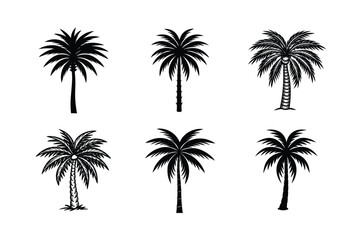 Palm Tree Bundle