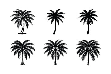Palm Tree Bundle