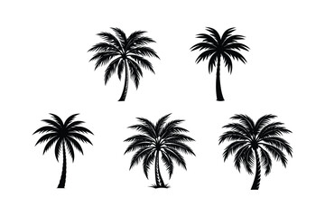 Fototapeta premium Palm Tree Bundle