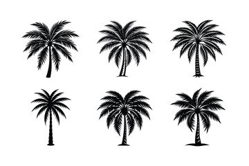 Palm Tree Bundle