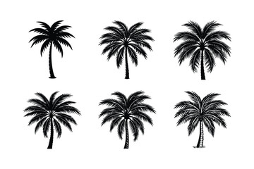 Palm Tree Bundle
