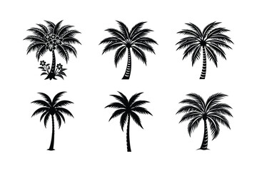 Palm Tree Bundle