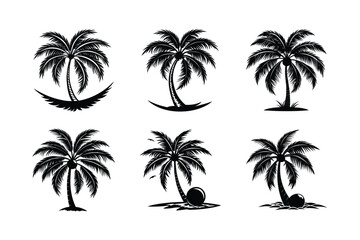 Fototapeta premium Palm Tree Bundle